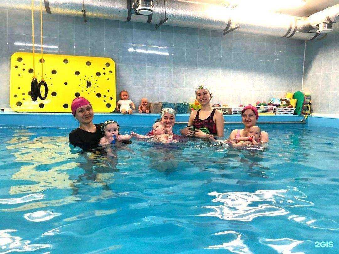 Отзывы на компанию Дельфинчик в Орехово-Зуеве c фото