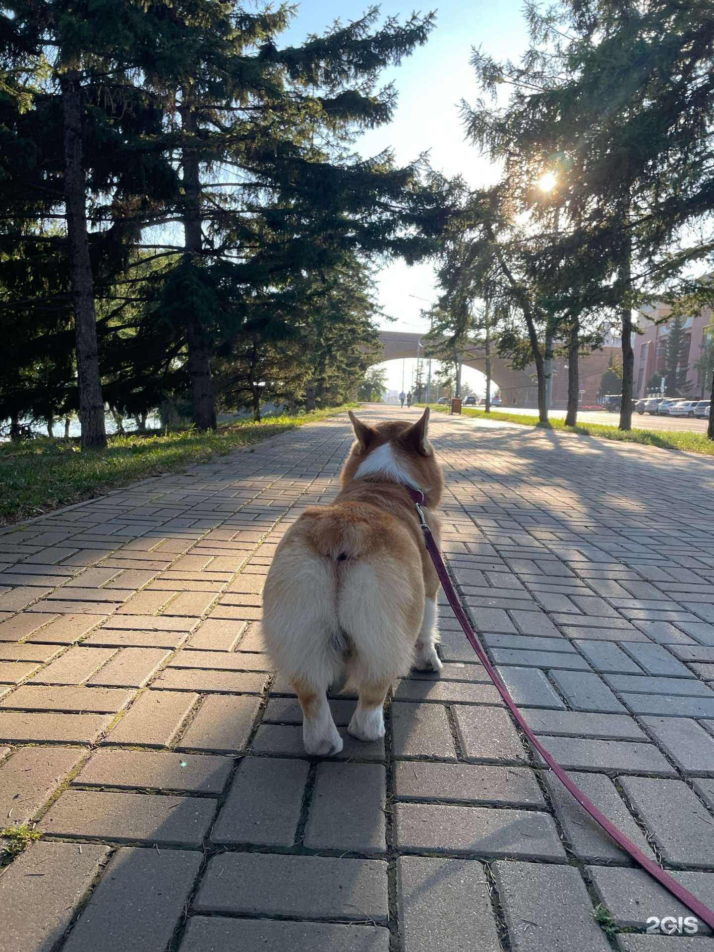 Отзывы на компанию Barber&dog в г. Красноярск c фото