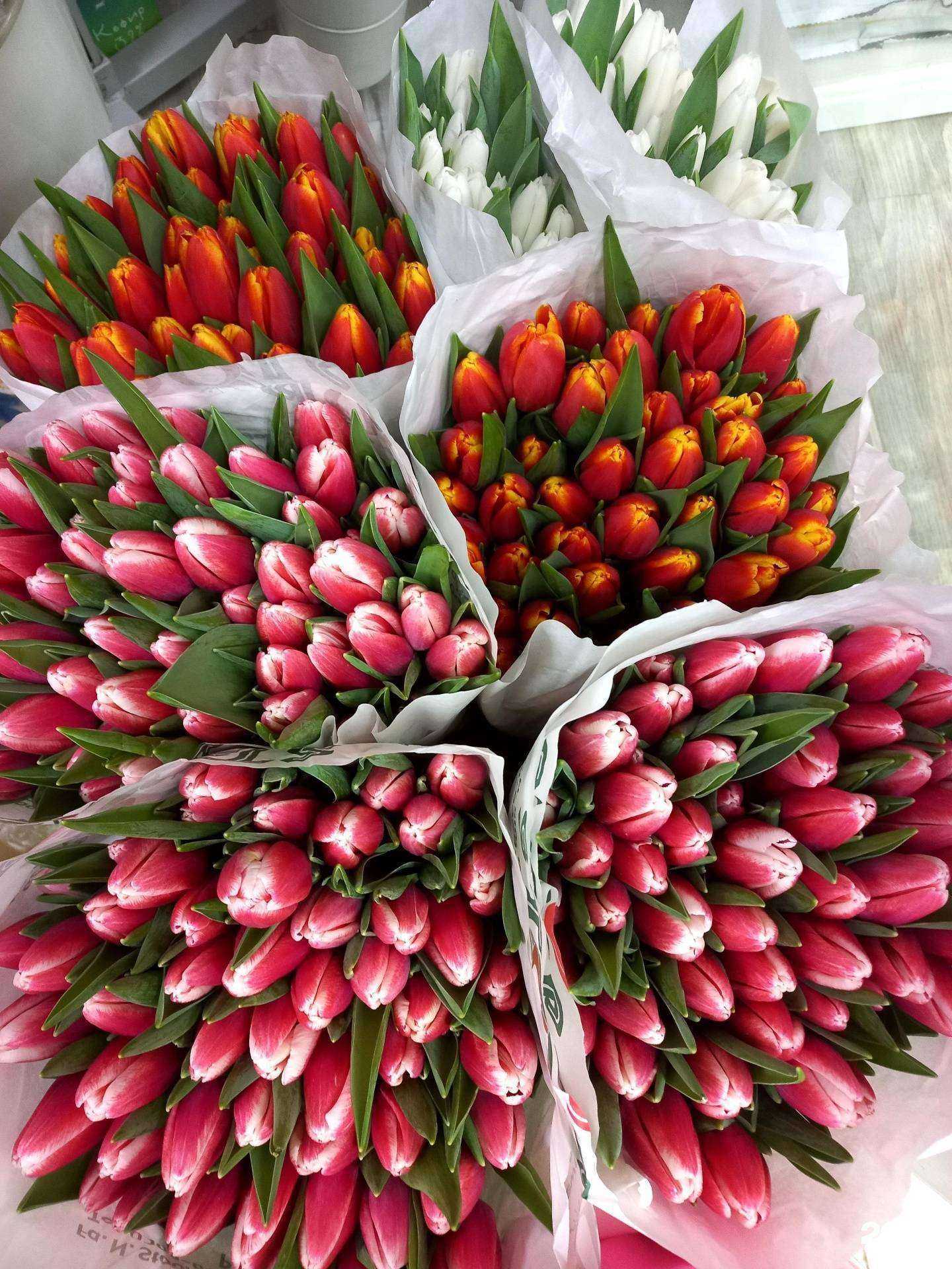 Отзывы на компанию Флориарт в Якутске c фото