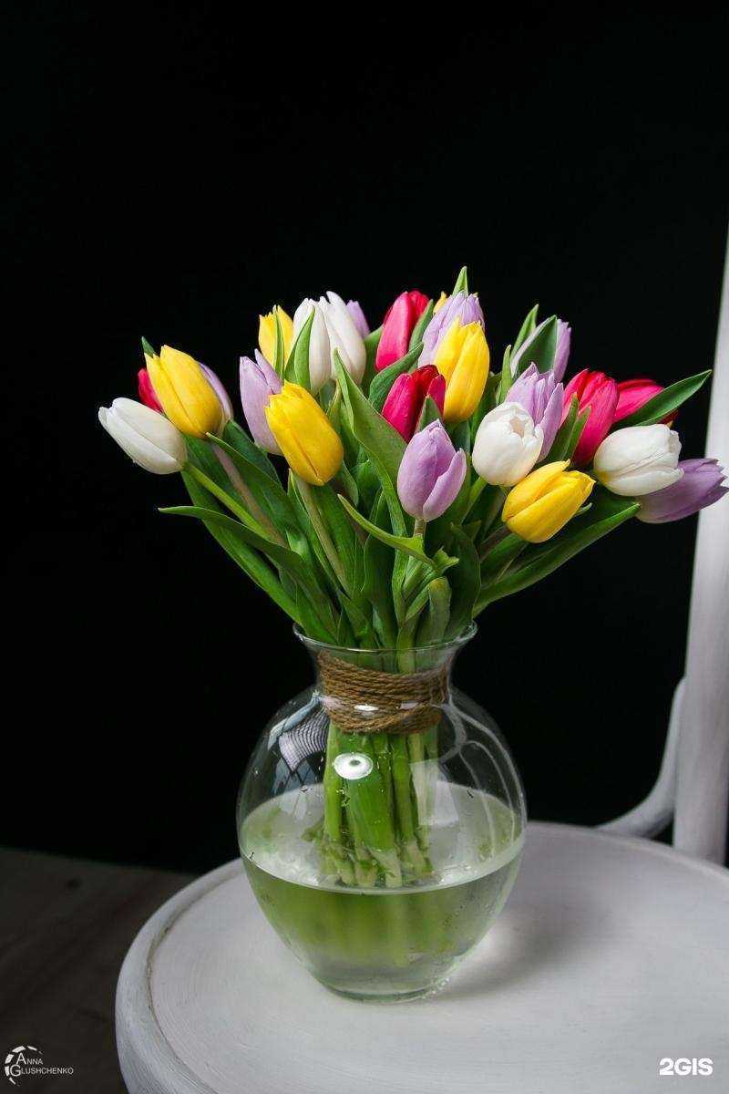 Отзывы на компанию Первый в Мурманске c фото