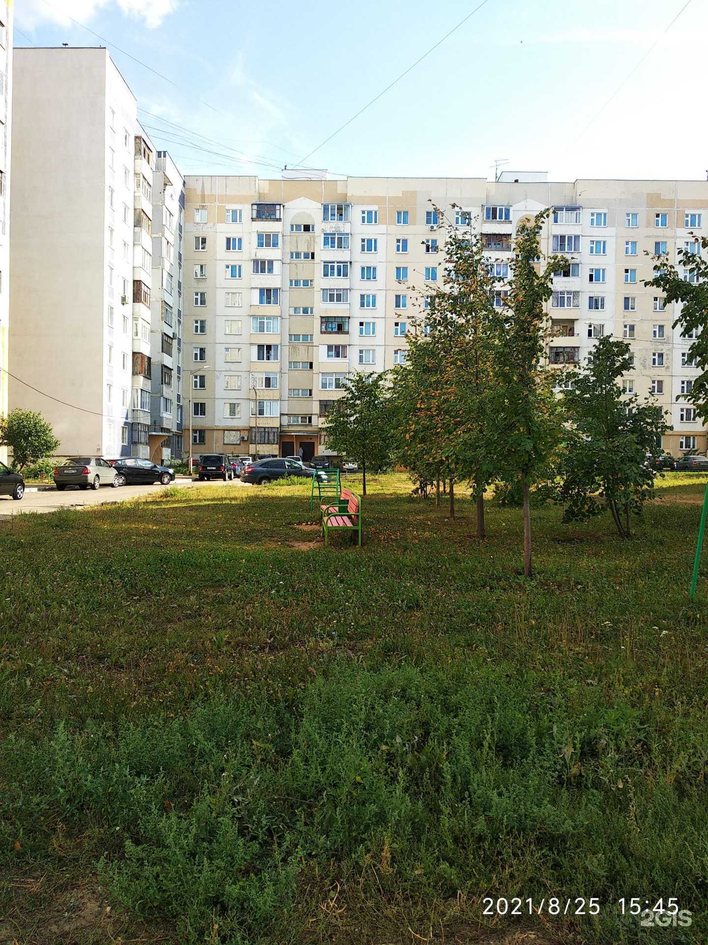 Отзывы на компанию Scoliologic в Казани c фото - фотография 2 из 2