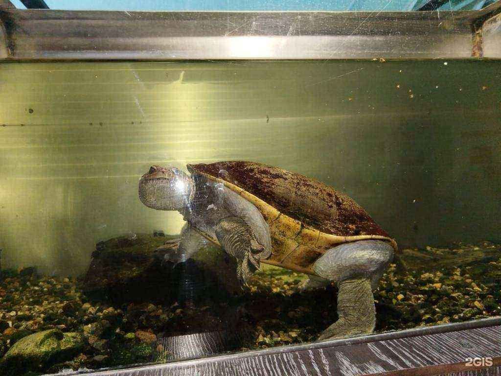 Отзывы на компанию Детский сад общеразвивающего вида №73 в г. Томск c фото