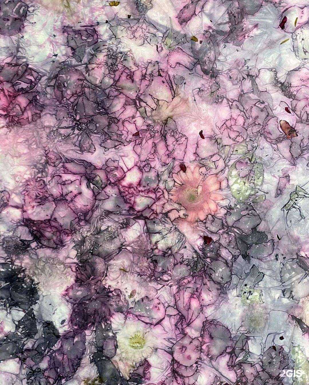 Отзывы на компанию Ecco Kids в Новокузнецке c фото