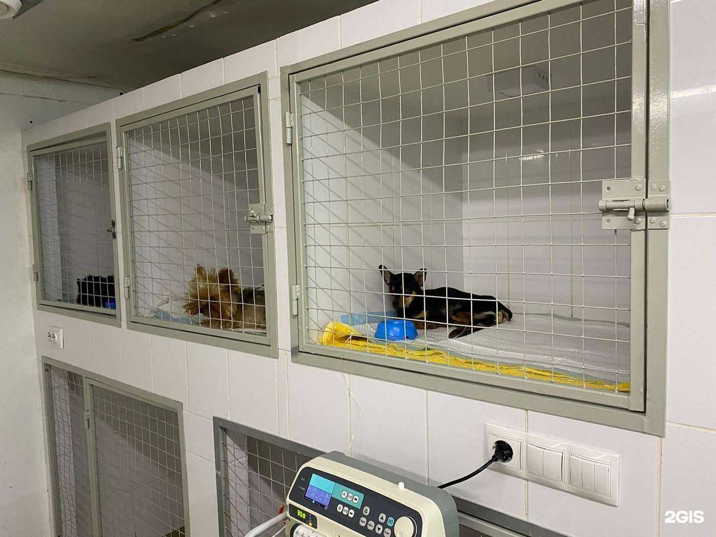 Отзывы на компанию Добрый доктор в г. Абакан c фото