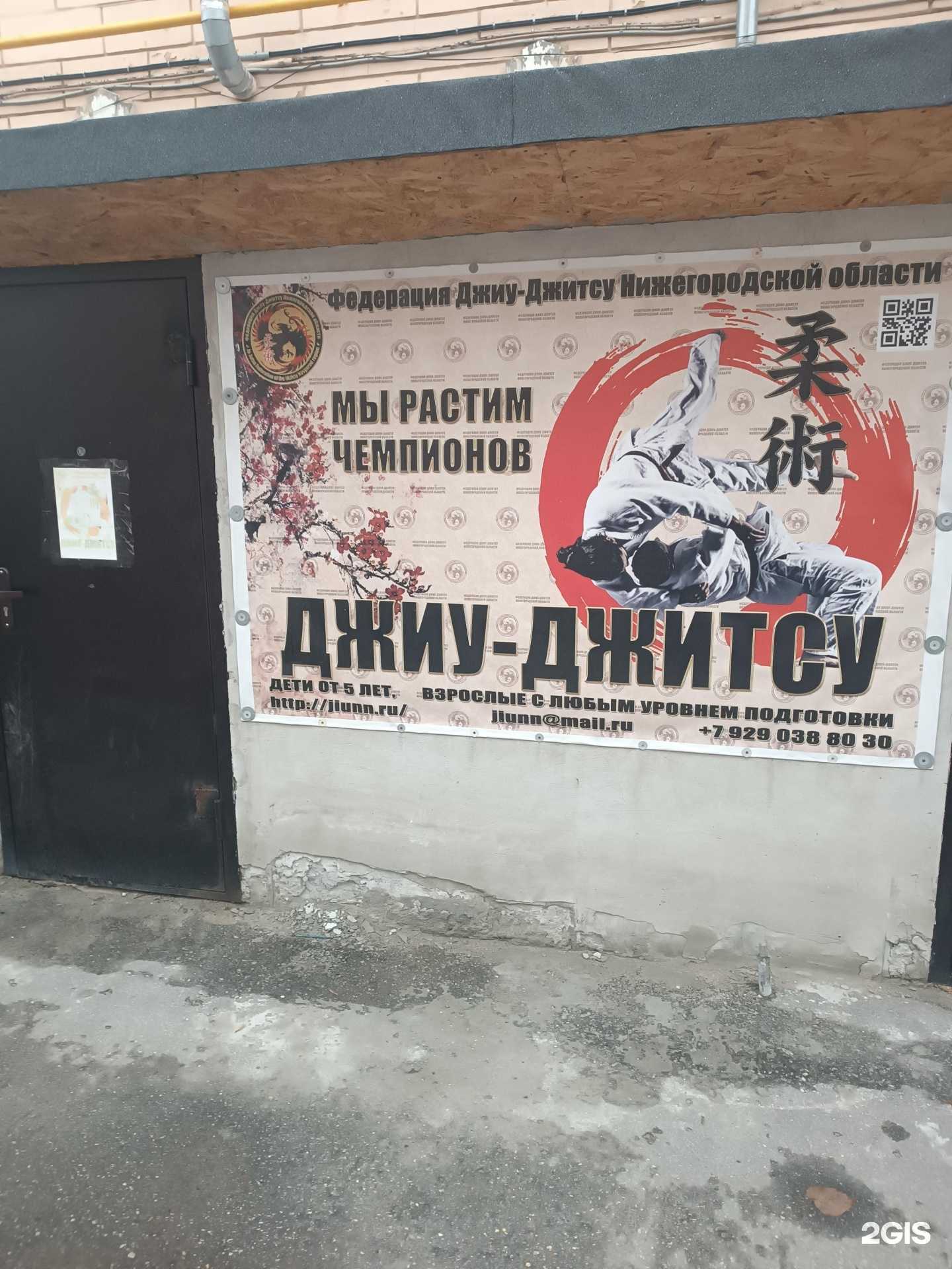 Отзывы на компанию Федерация Джиу-джитсу Нижегорoдской области в г. Нижний Новгород c фото