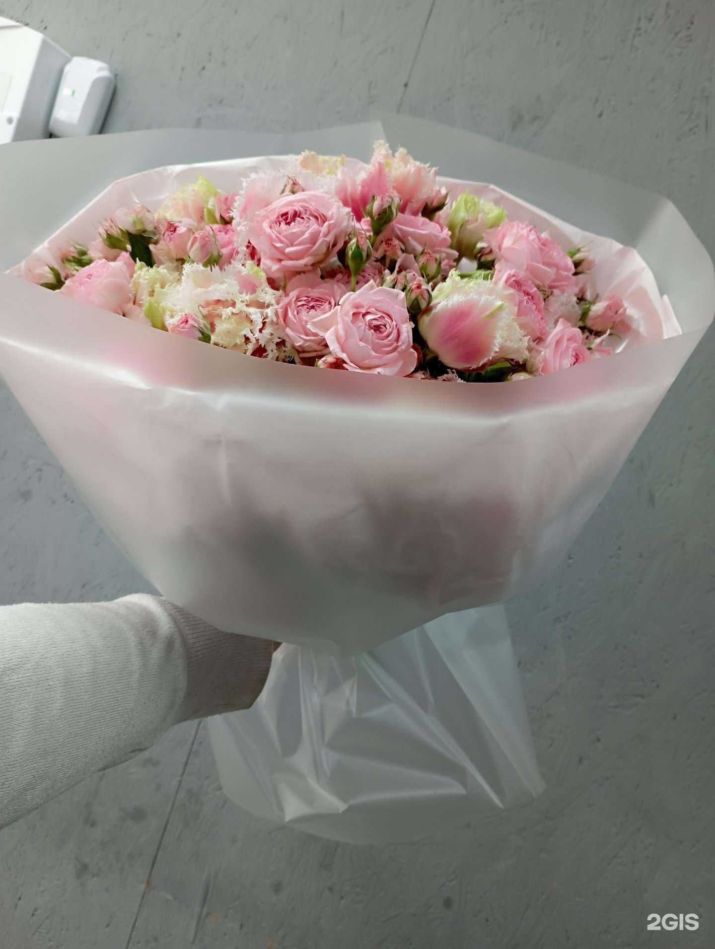 Отзывы на компанию Орхидея в г. Иркутск c фото