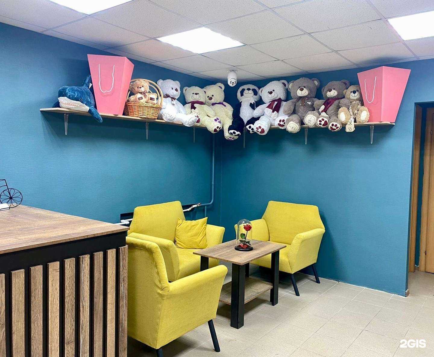 Отзывы на компанию Галерея цветов в Твери c фото