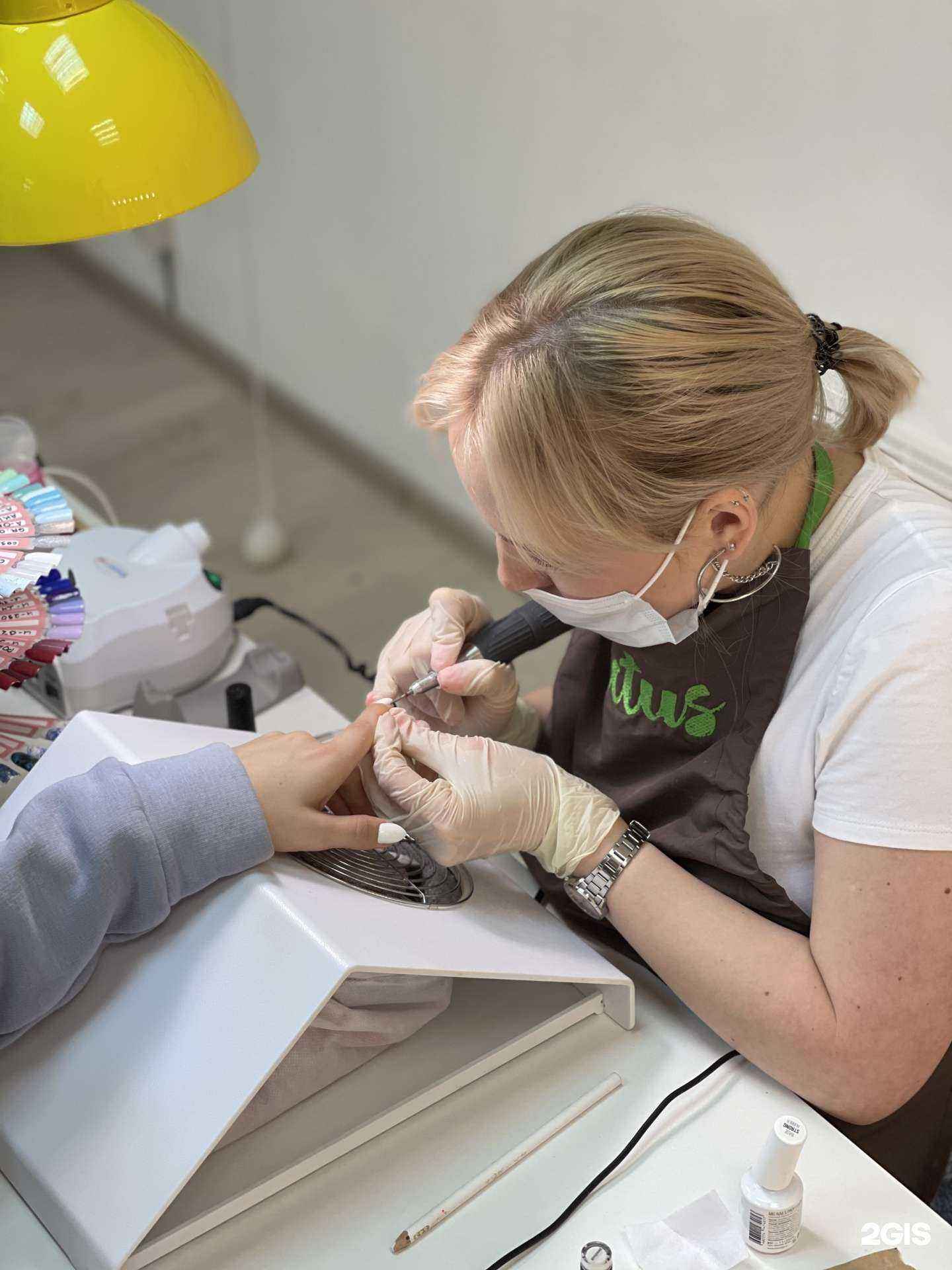 Отзывы на компанию Лысый Кактус в Казани c фото