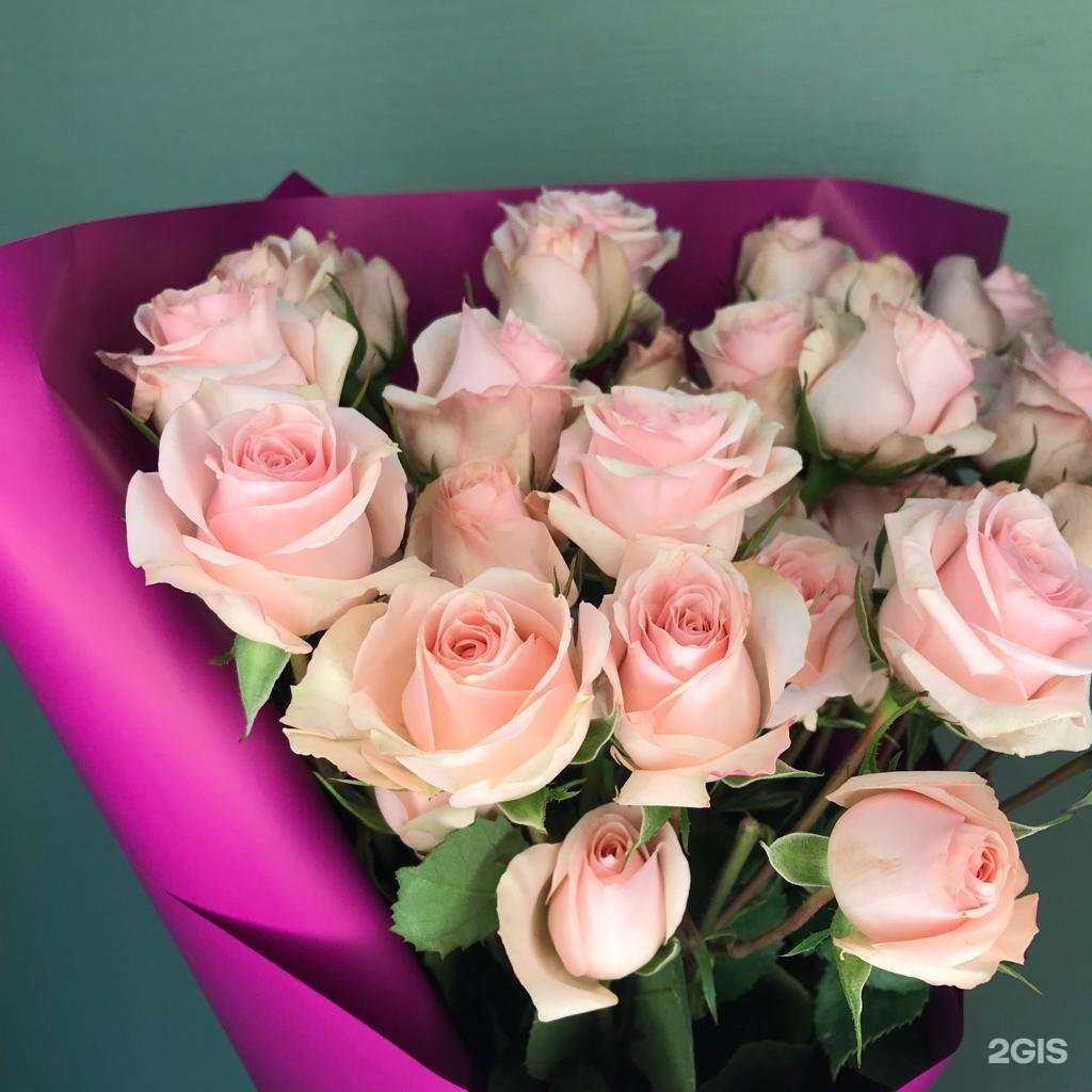 Отзывы на компанию Подарите лето в Великом Новгороде c фото