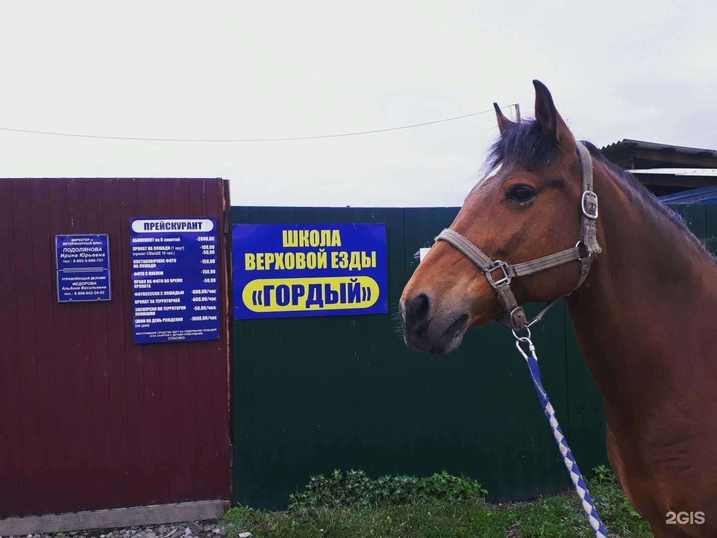 Отзывы на компанию Гордый в Черемхове c фото - фотография 2 из 2