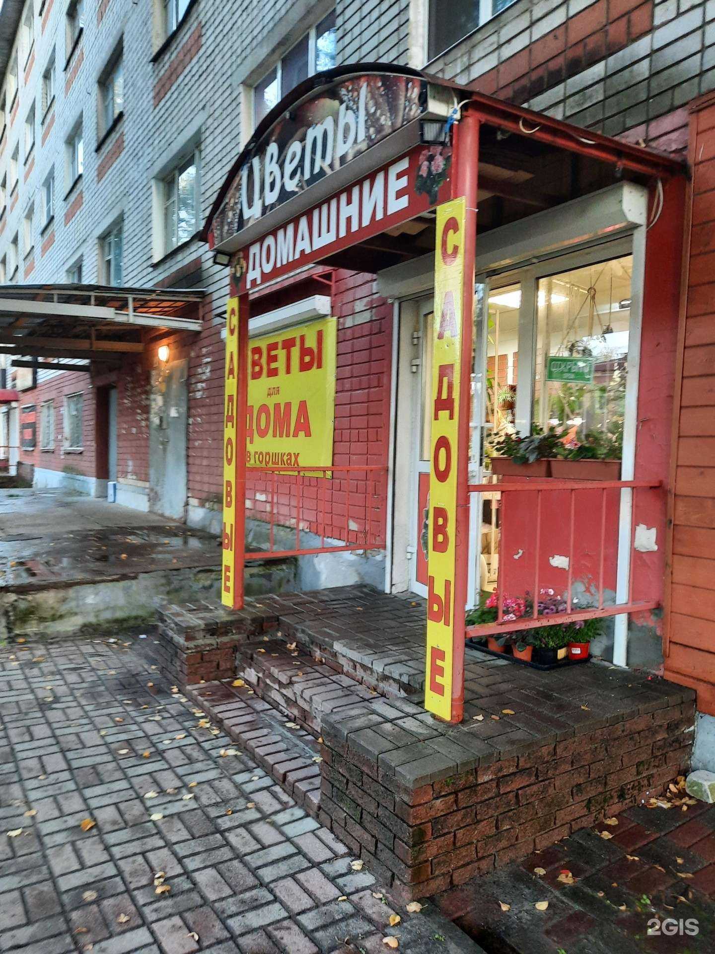 Отзывы на компанию Цветы для дома в Нижнем Новгороде c фото