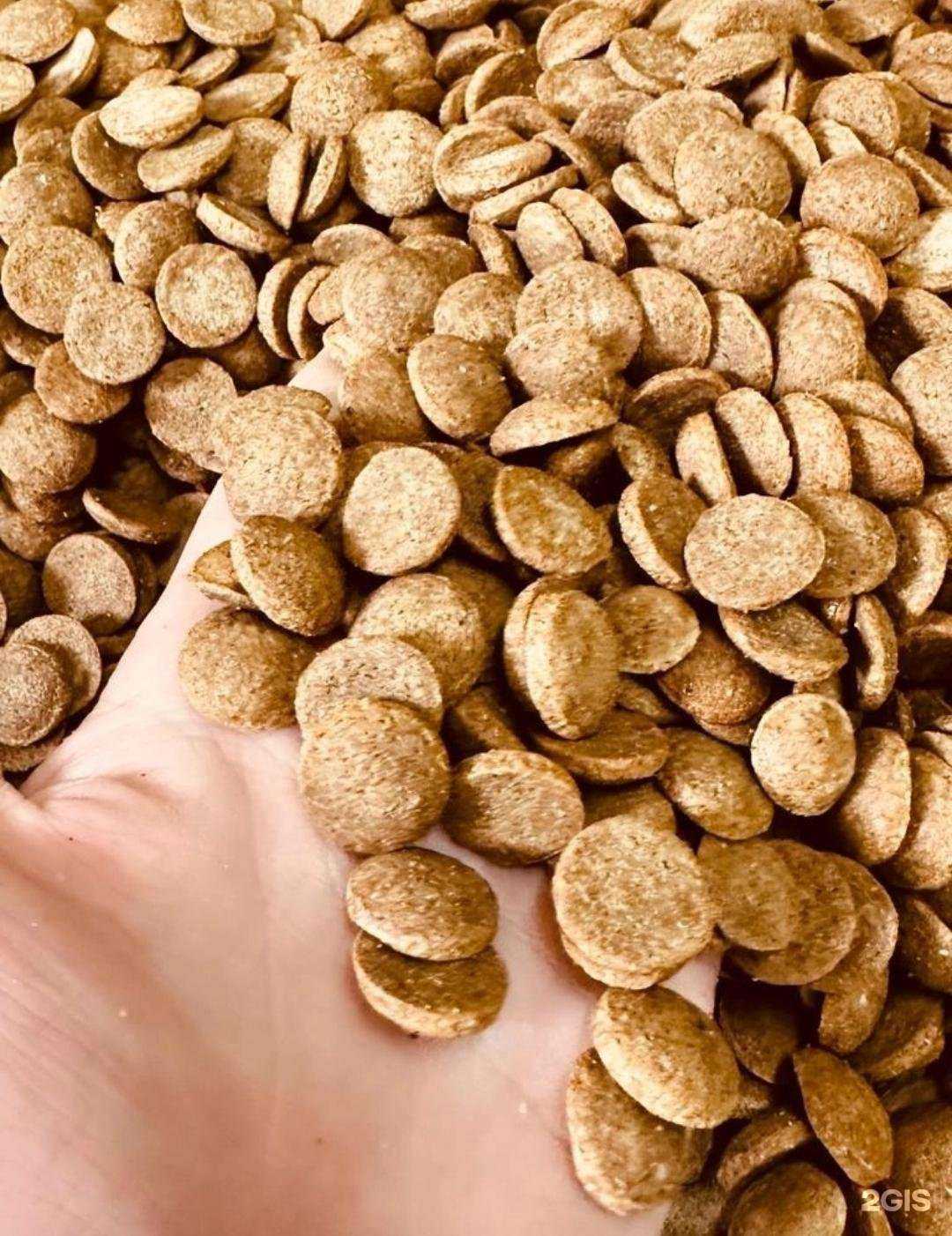 Отзывы на компанию KotoGava в г. Сургут c фото