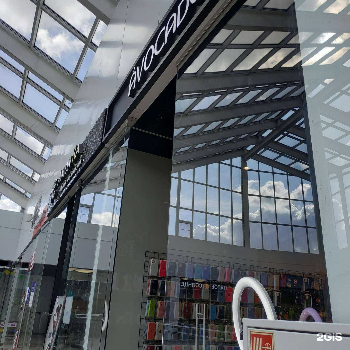 Отзывы на компанию Avocado в Вологде c фото