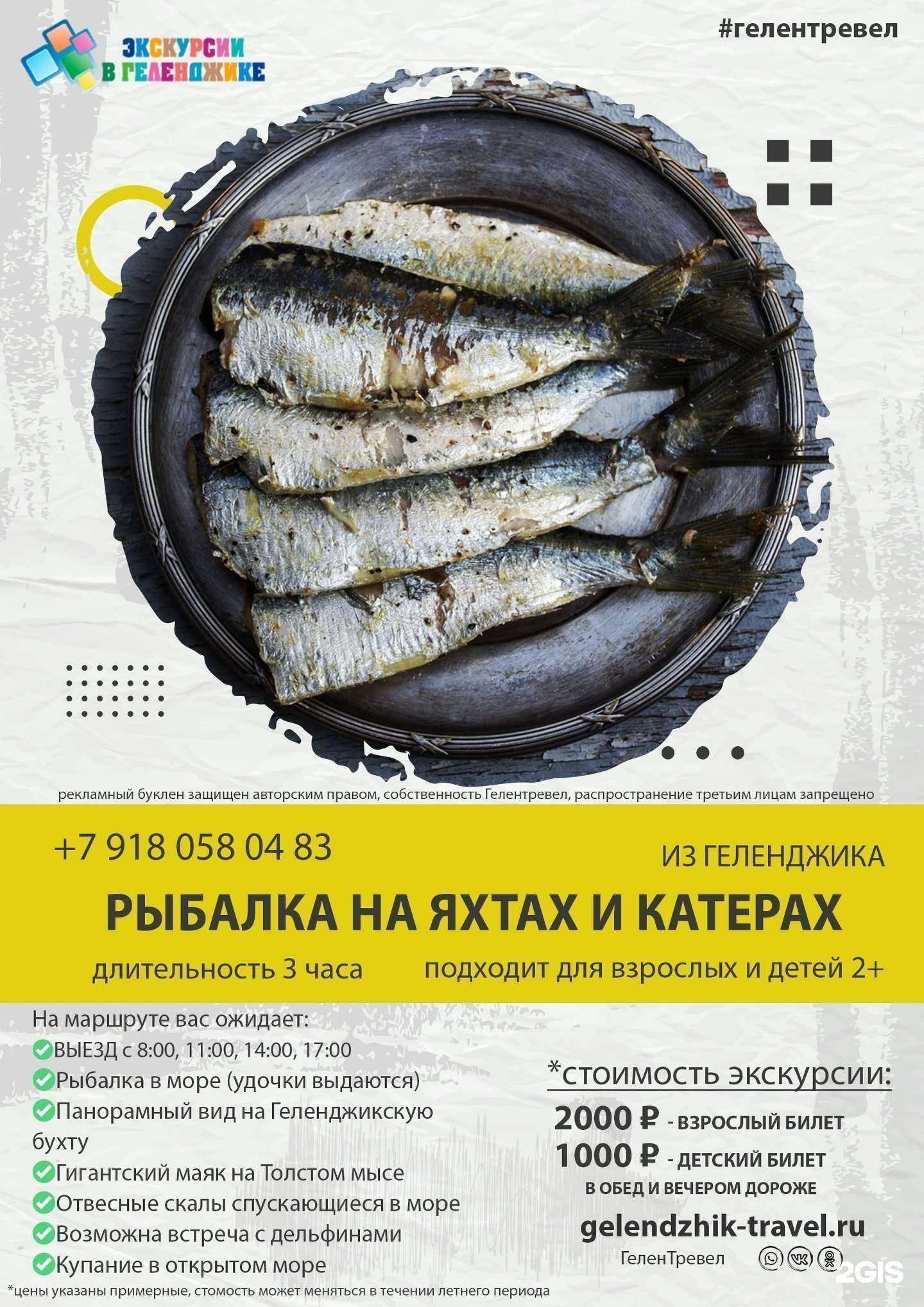 Отзывы на компанию ГеленТревел в г. Геленджик c фото