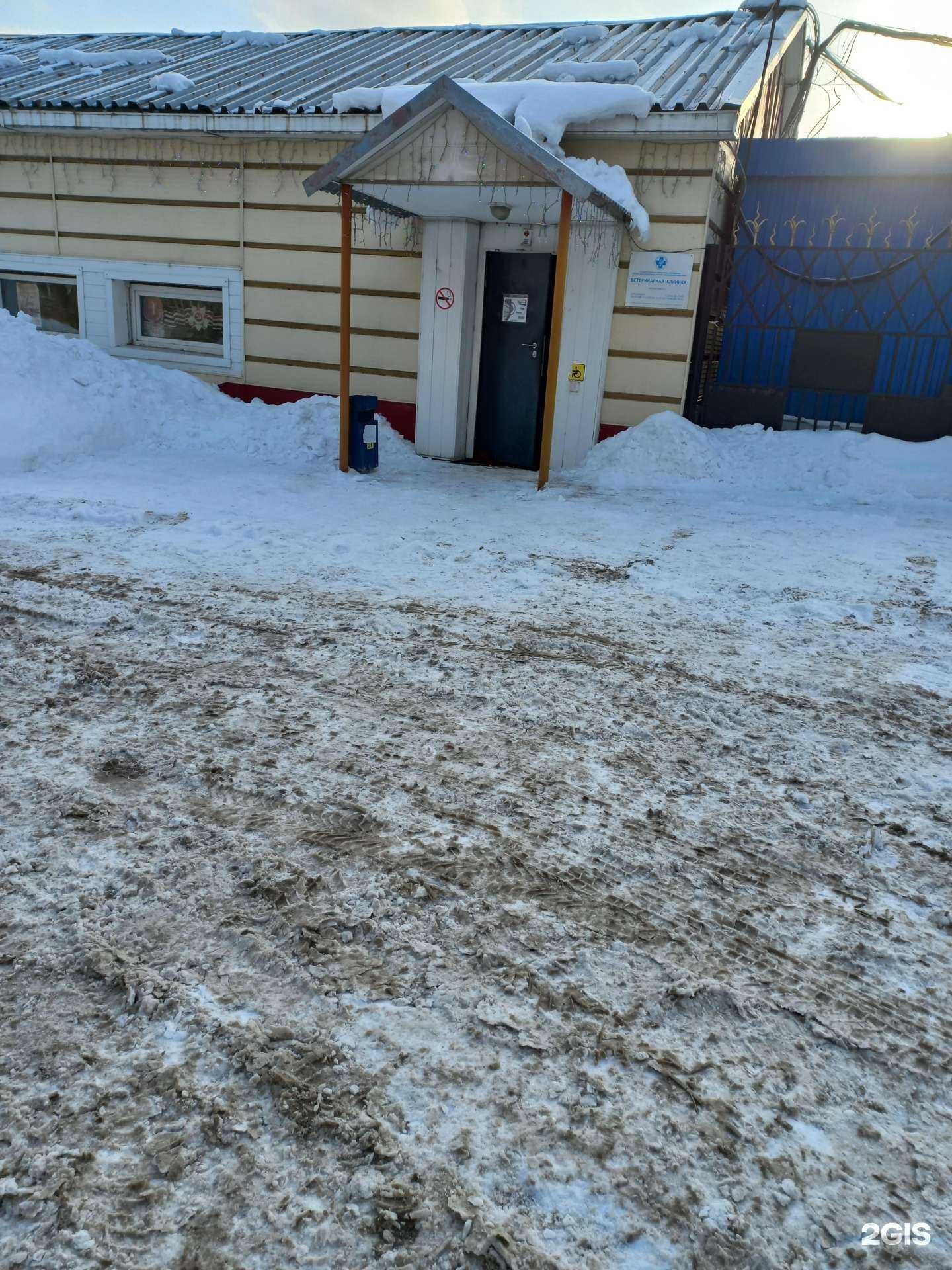 Отзывы на компанию Центральный ветеринарный участок в Кемерове c фото