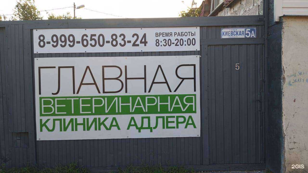 Отзывы на компанию Главная ветеринарная клиника Адлера в г. Сочи c фото