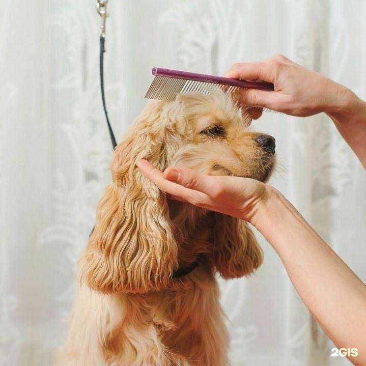 Отзывы на компанию Друг в Владивостоке c фото