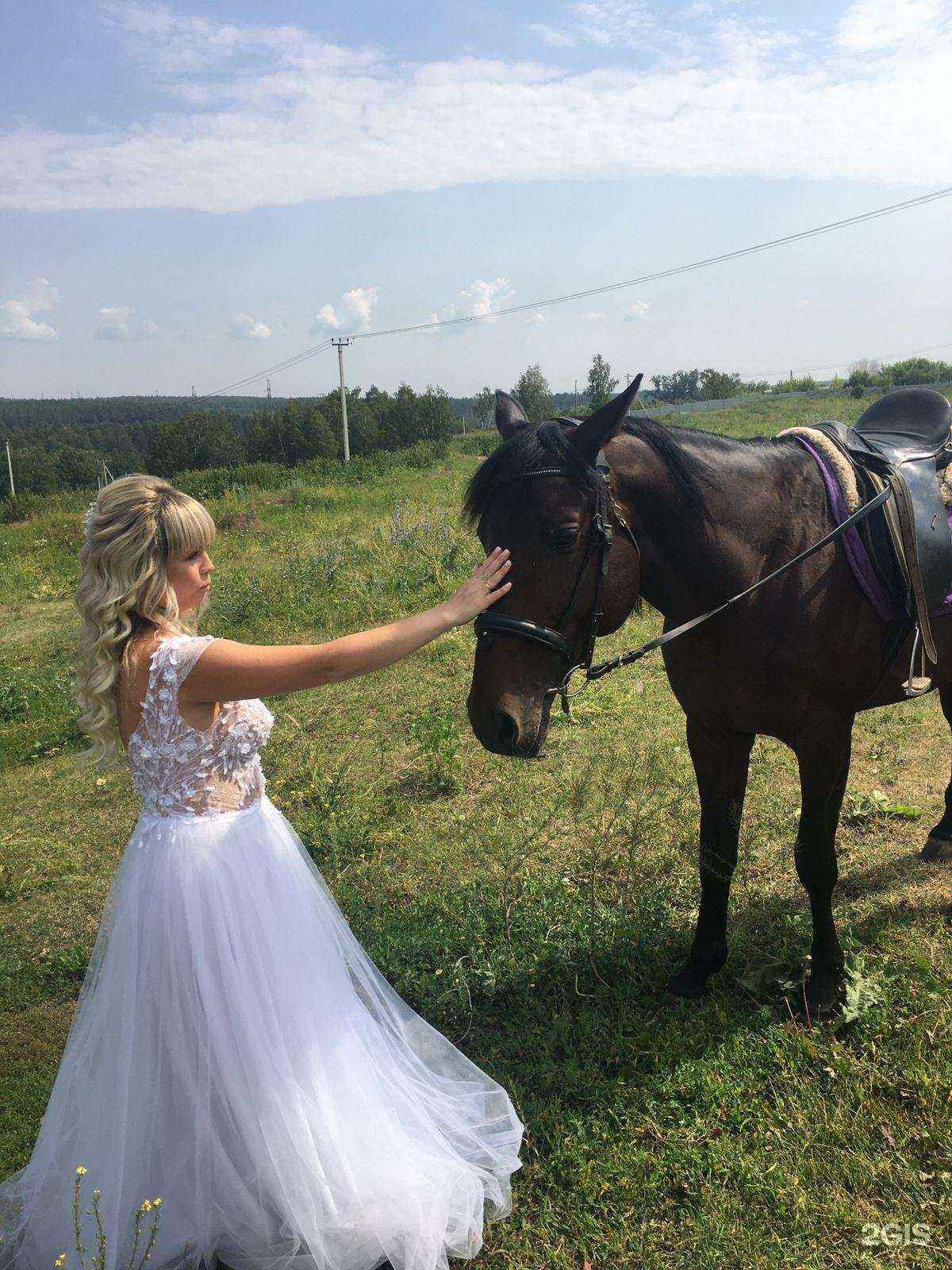 Отзывы на компанию Восторг в г. Каменск-Уральский c фото