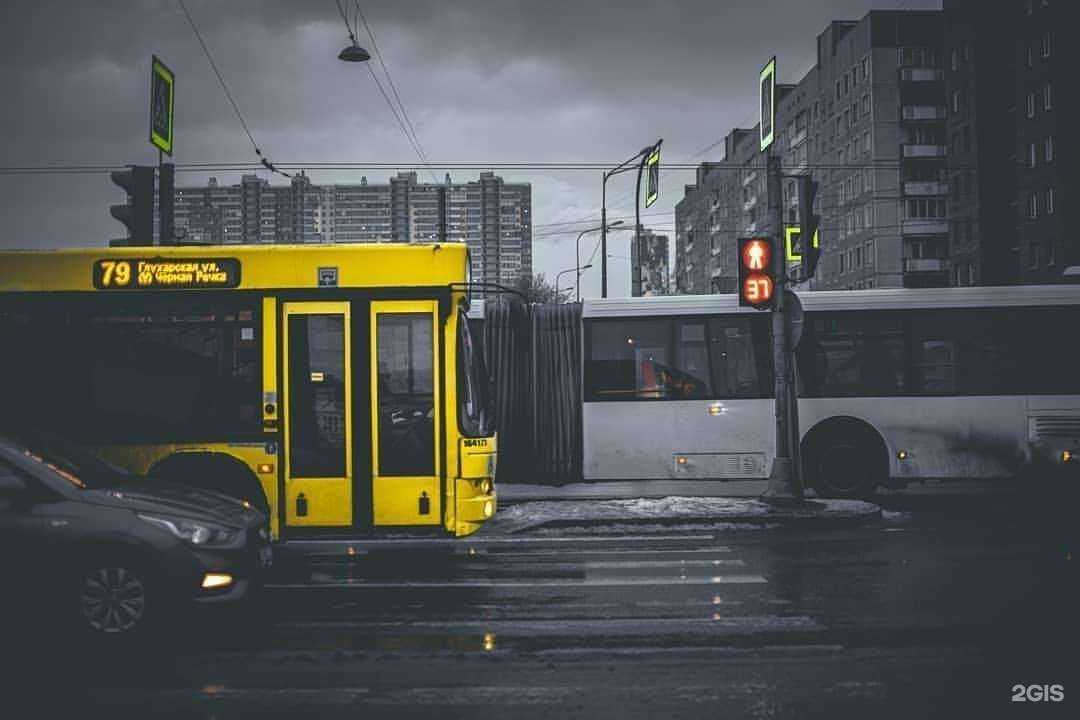 Отзывы на компанию билайн в г. Пенза c фото