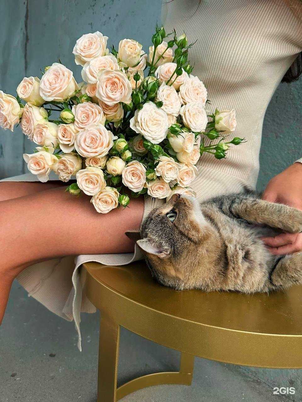 Отзывы на компанию The moment of love в г. Набережные Челны c фото