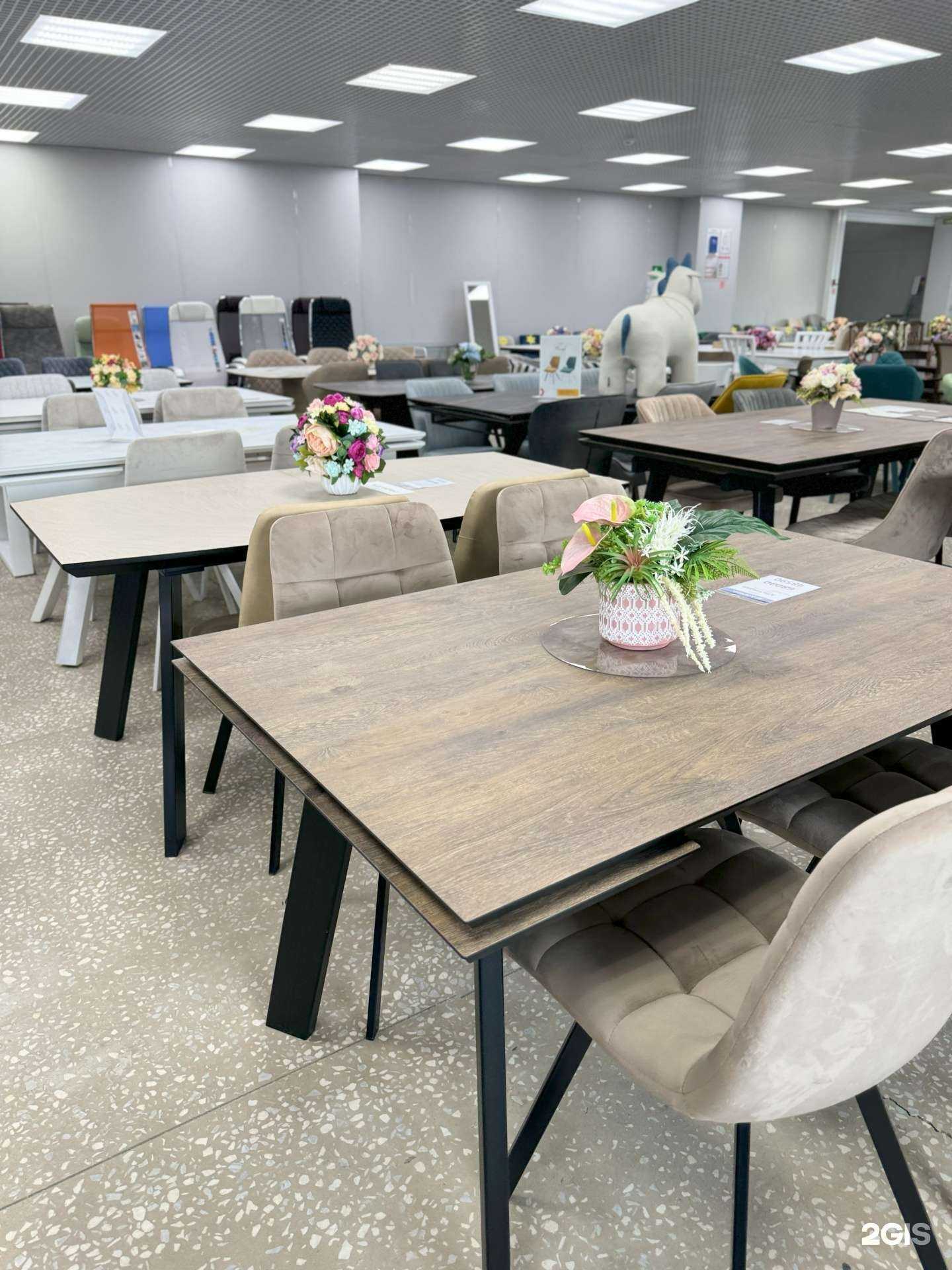 Отзывы на компанию Дарвил в г. Елабуга c фото