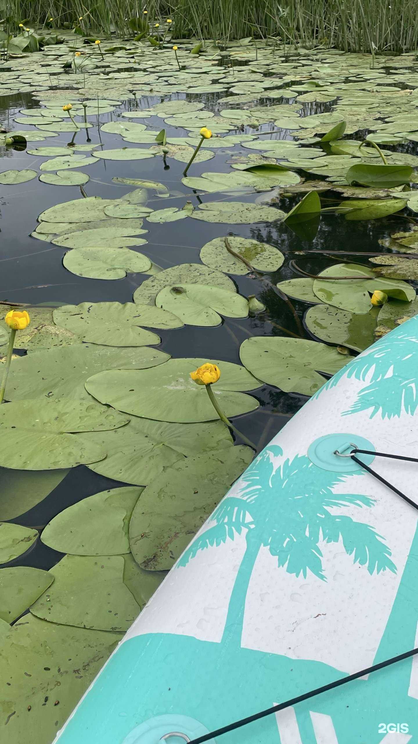 Отзывы на компанию NNSup в Нижнем Новгороде c фото