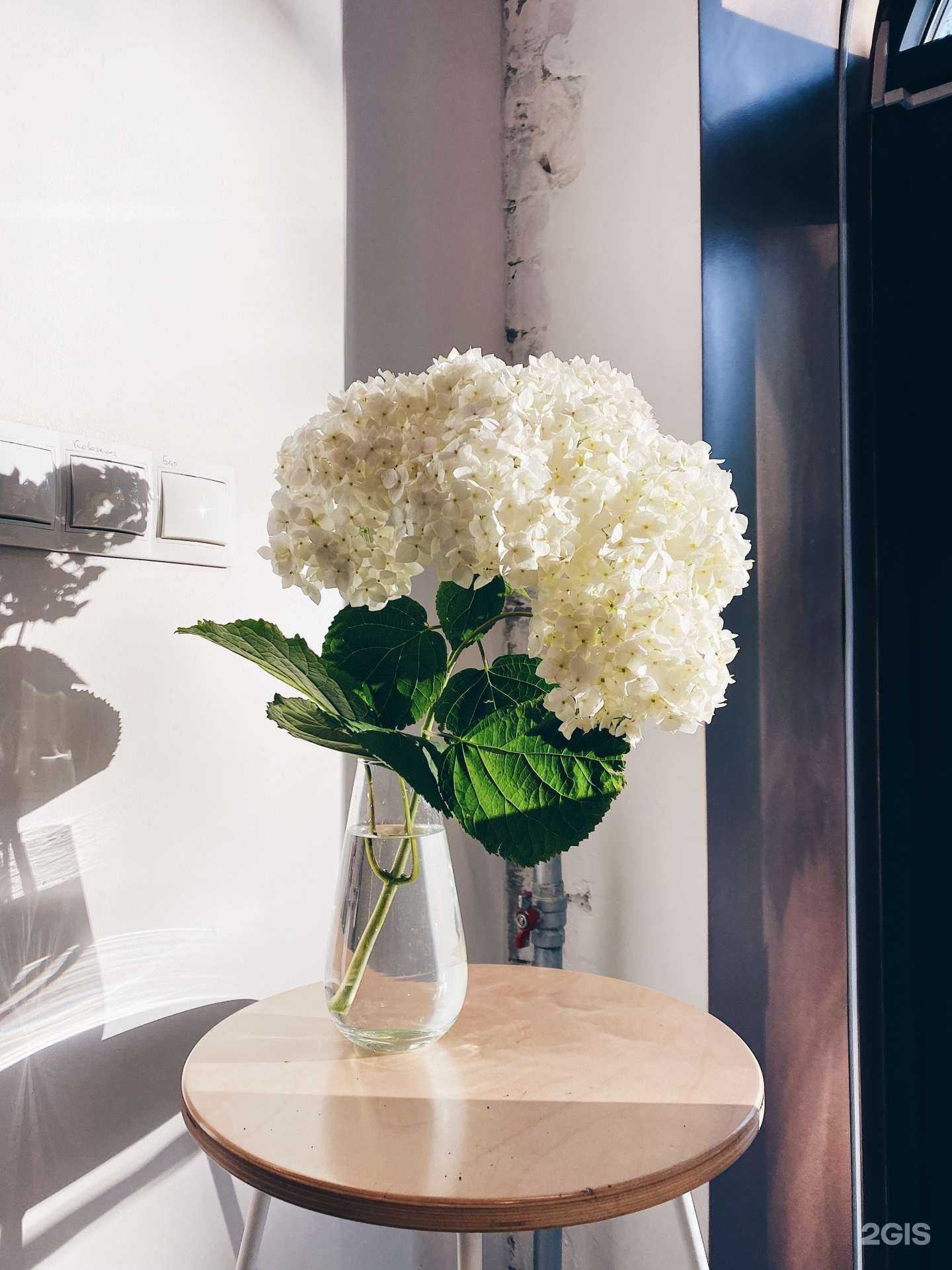 Отзывы на компанию Renoir coffee в Барнауле c фото