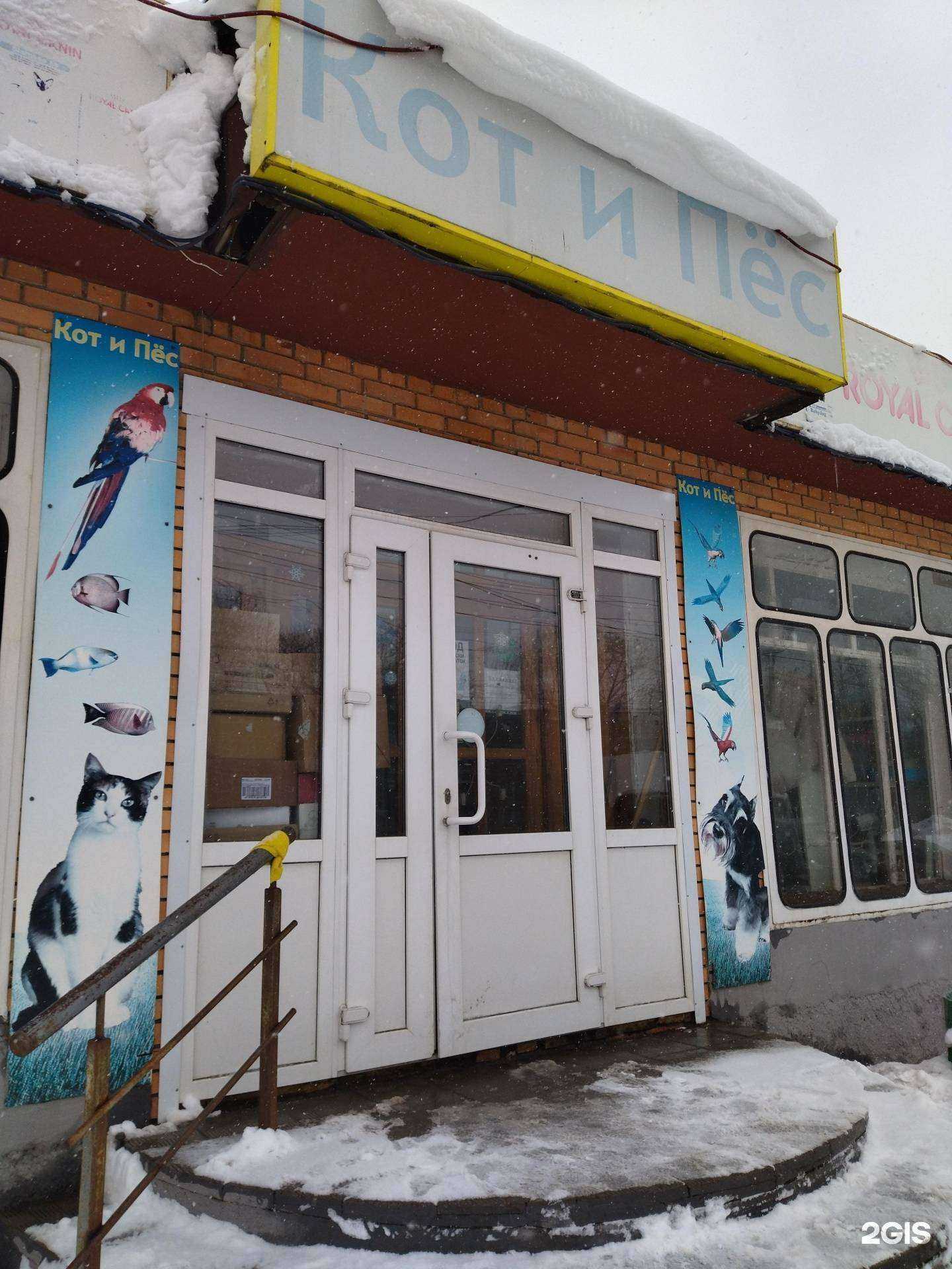 Отзывы на компанию Кот и Пес в Саранске c фото