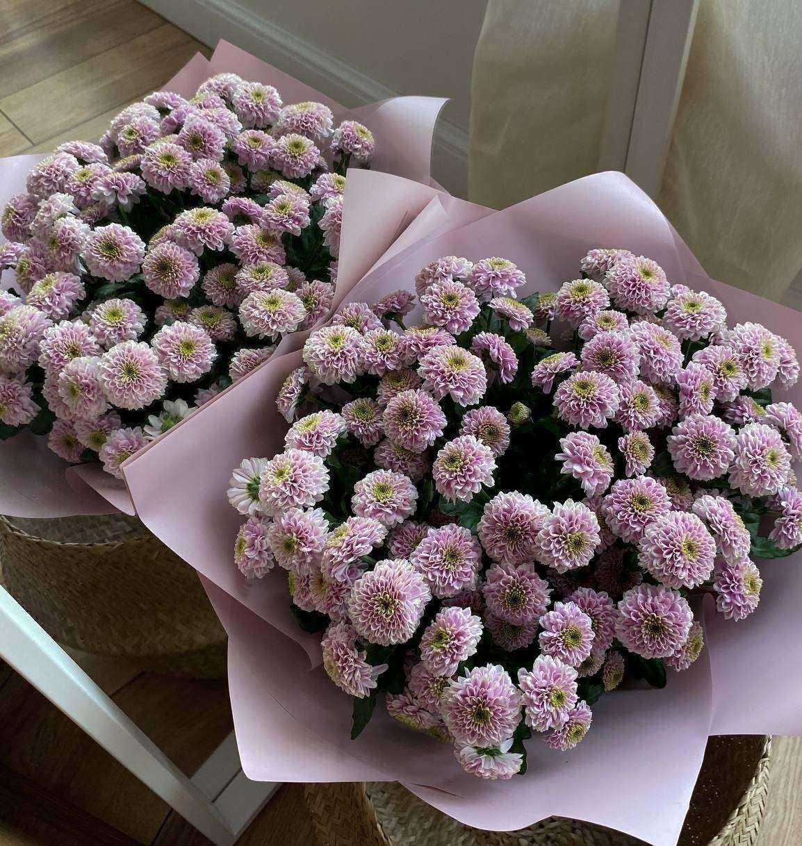 Отзывы на компанию Антураж в Тюмени c фото