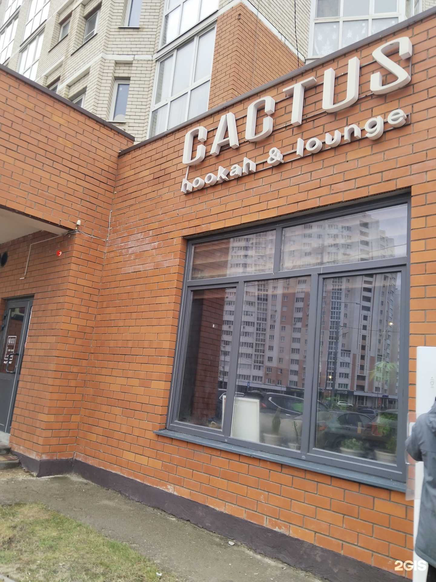 Отзывы на компанию Cactus в г. Липецк c фото