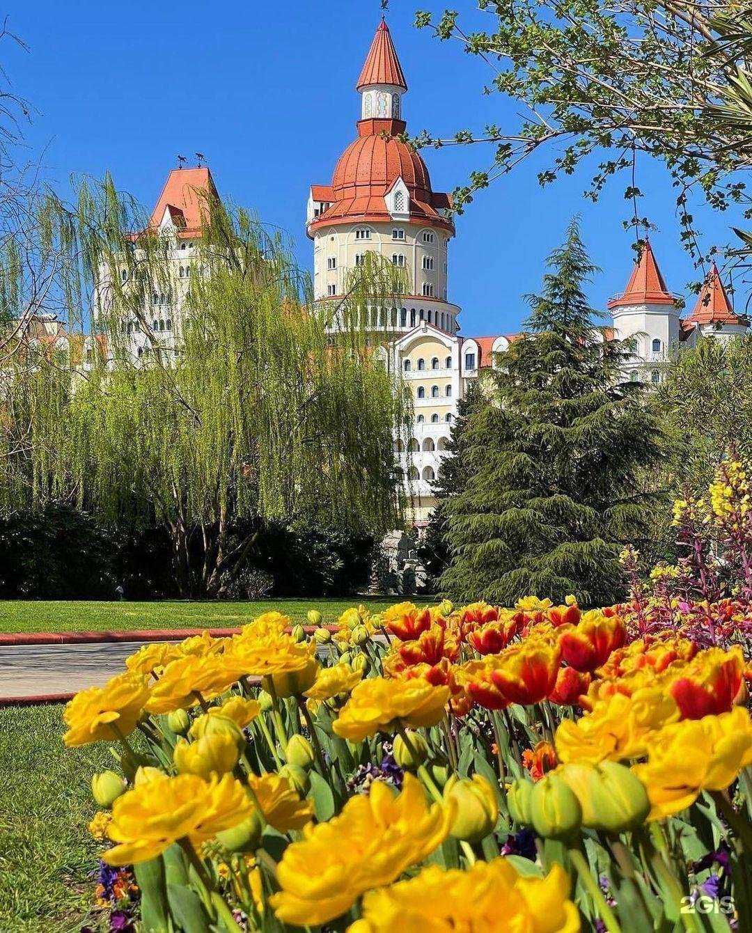 Отзывы на компанию Волшебный Вояж в г. Йошкар-Ола c фото