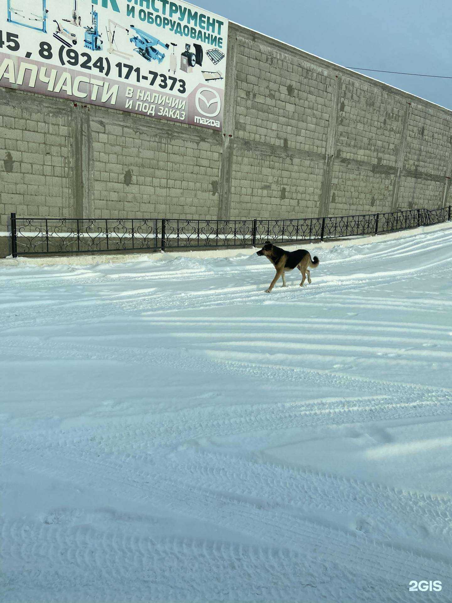 Отзывы на компанию Белый медведь в г. Якутск c фото