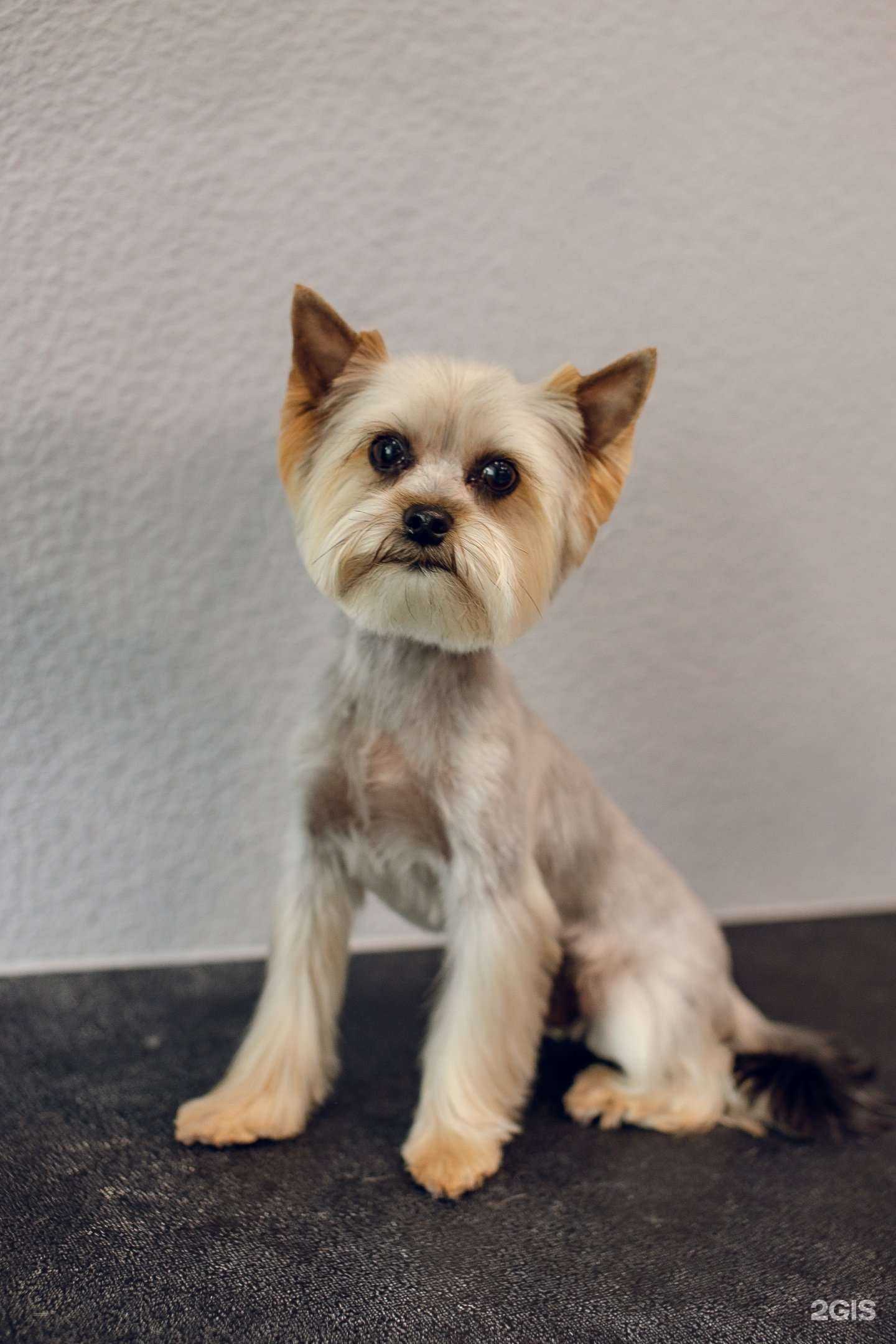 Отзывы на компанию Стиляги в г. Пермь c фото