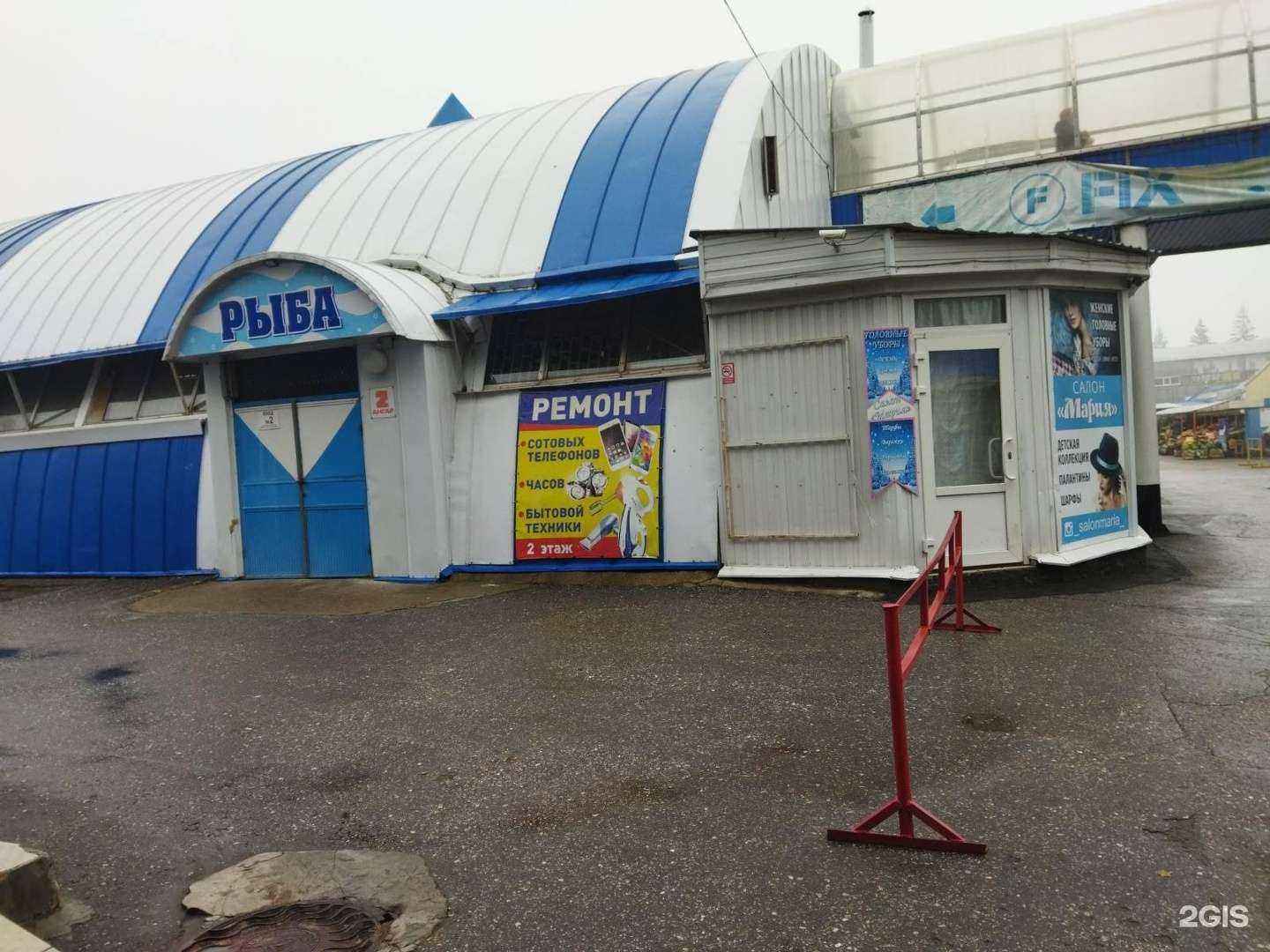 Отзывы на компанию Рыжий кот в г. Чебоксары c фото