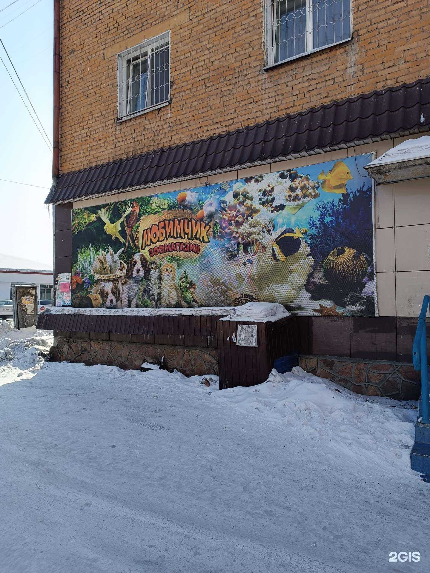 Отзывы на компанию Любимчик в г. Кызыл c фото