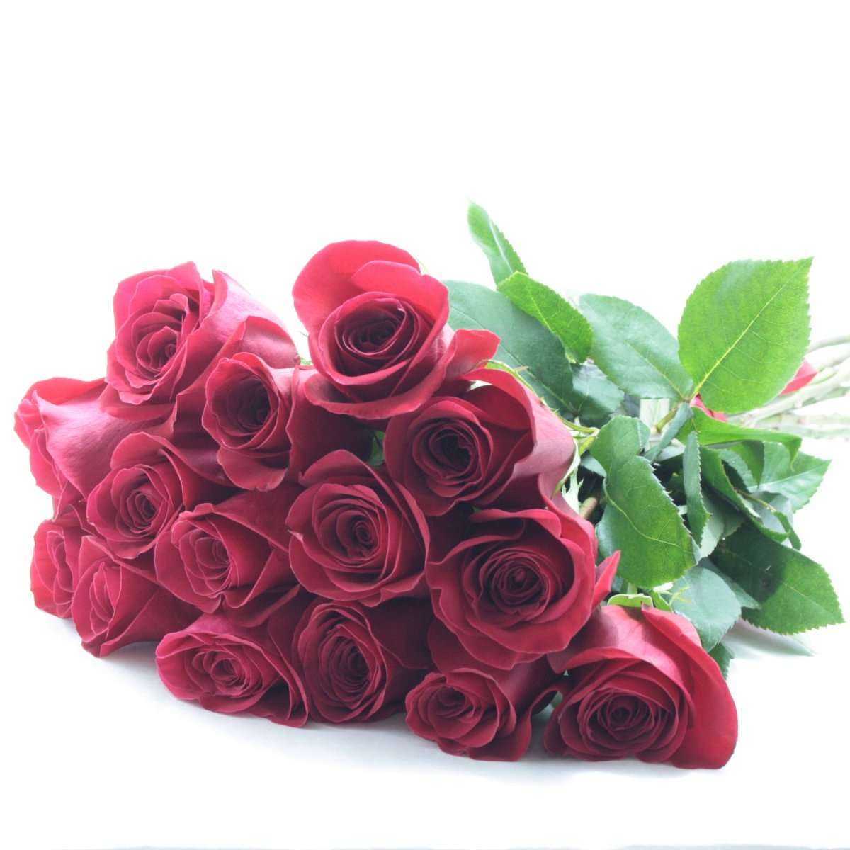 Отзывы на компанию Фловеред в г. Уфа c фото