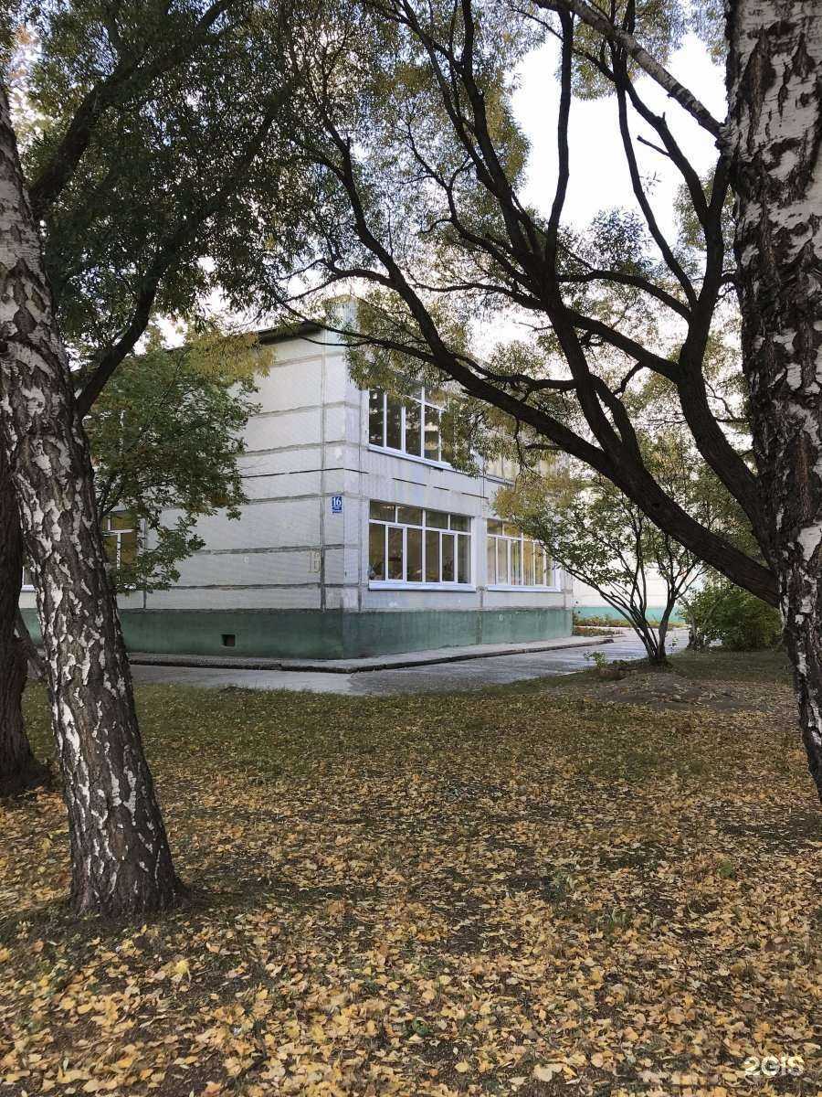 Отзывы на компанию Дельфинчик в г. Новосибирск c фото