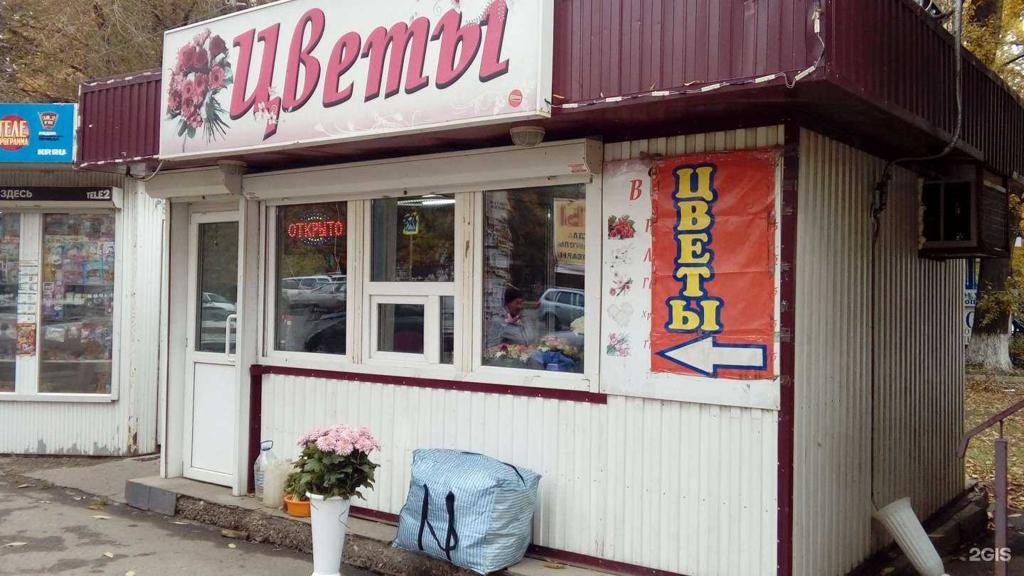 Отзывы на компанию Ромашка в Самаре c фото