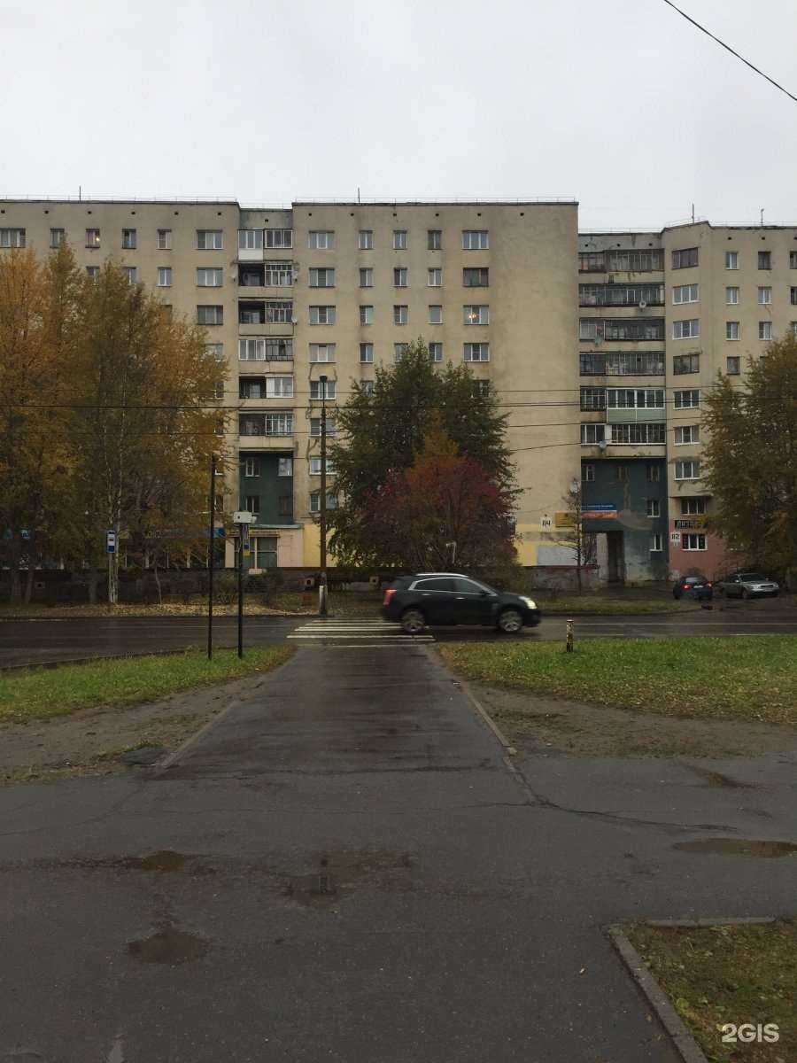 Отзывы на компанию Пушистый друг в г. Северодвинск c фото