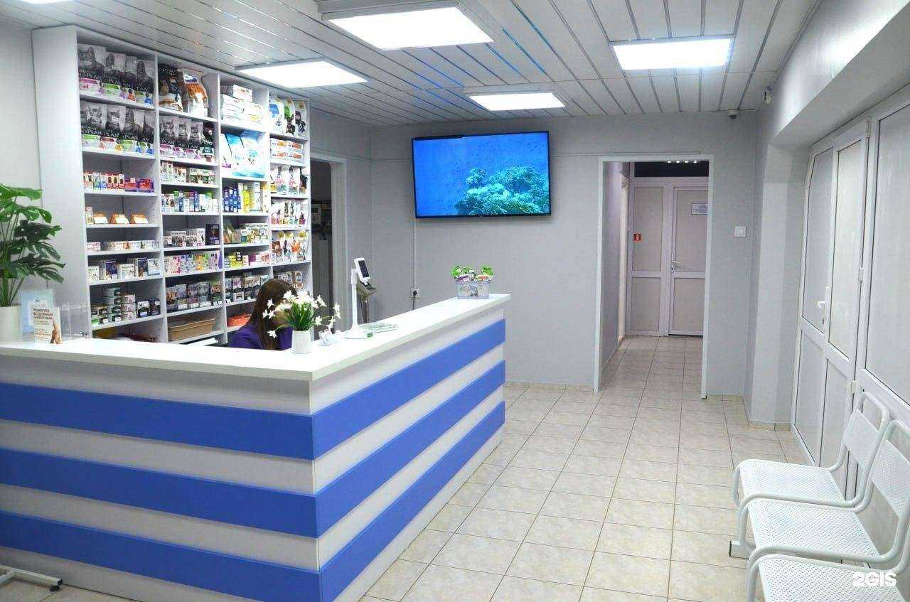 Отзывы на компанию Верный друг в Тюмени c фото