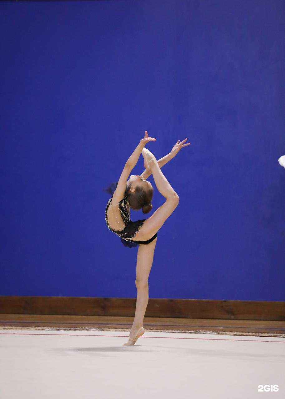 Отзывы на компанию Gym queen в Новороссийске c фото