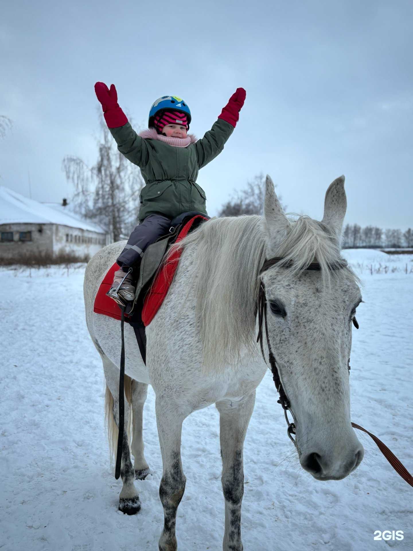 Отзывы на компанию Катание на ипподроме в г. Нижний Новгород c фото