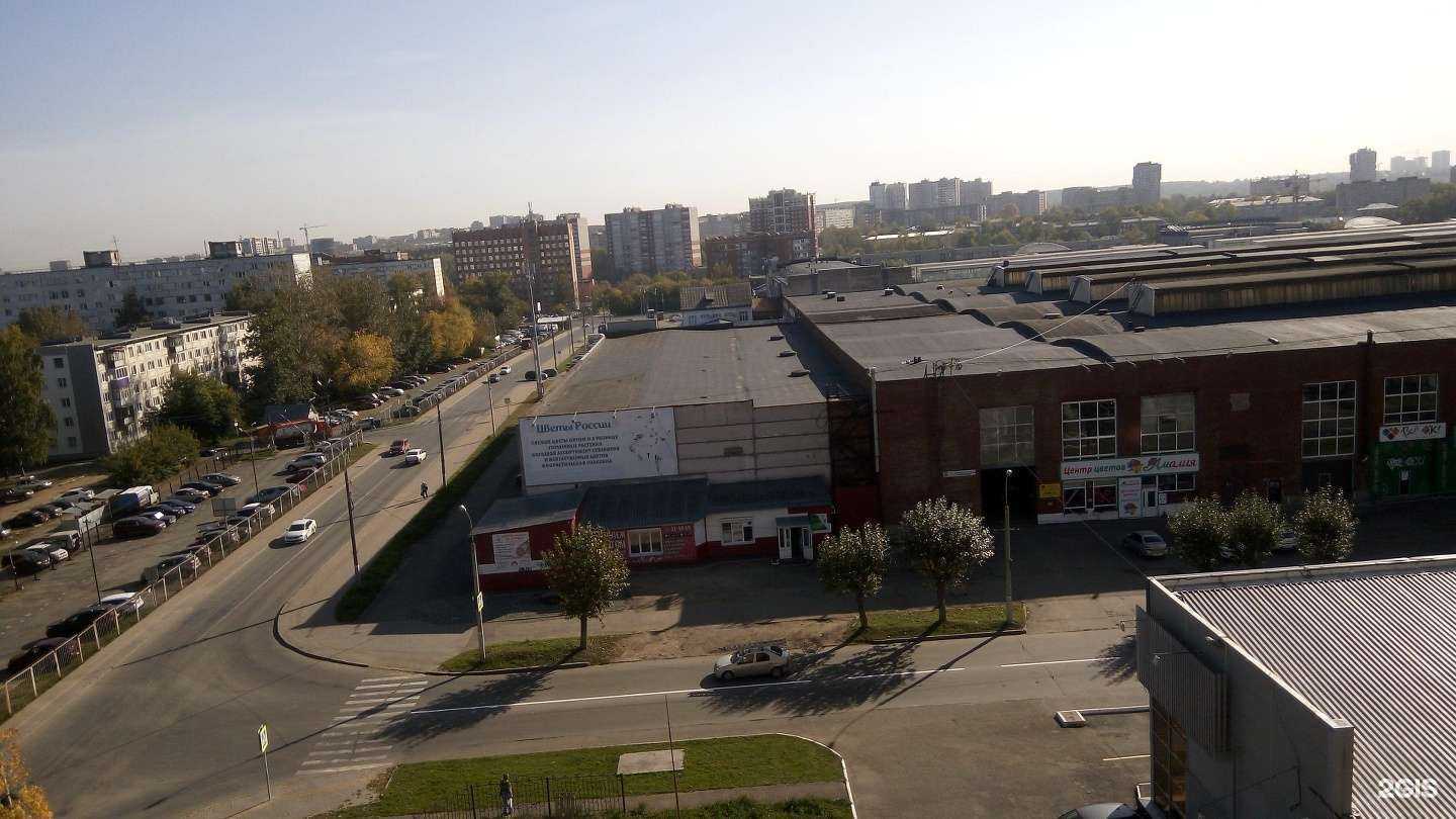 Отзывы на компанию SDW-Group в Ижевске c фото