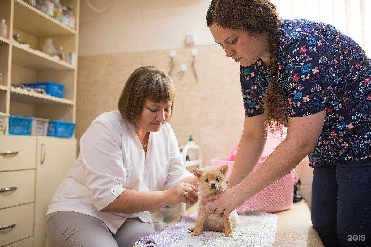 Отзывы на компанию Бонифаций в Хабаровске c фото