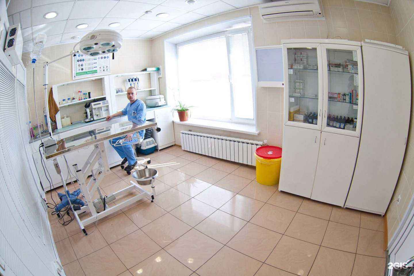 Отзывы на компанию Пес и кот в г. Сургут c фото