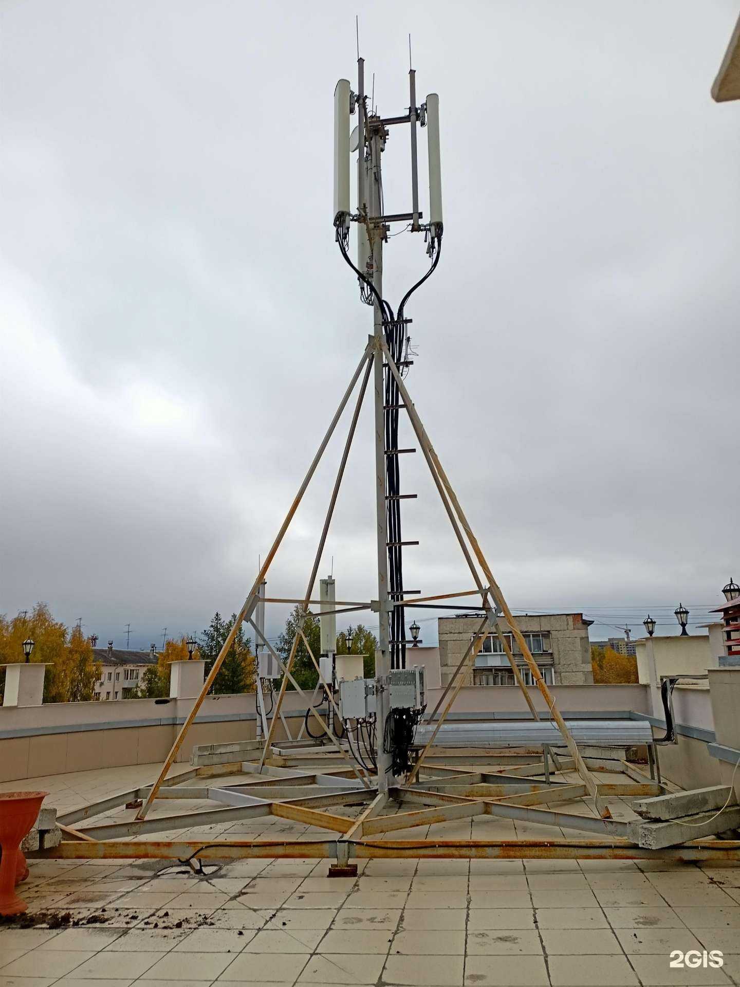 Отзывы на компанию Лавандовая империя в Верхней Пышме c фото - фотография 2 из 2