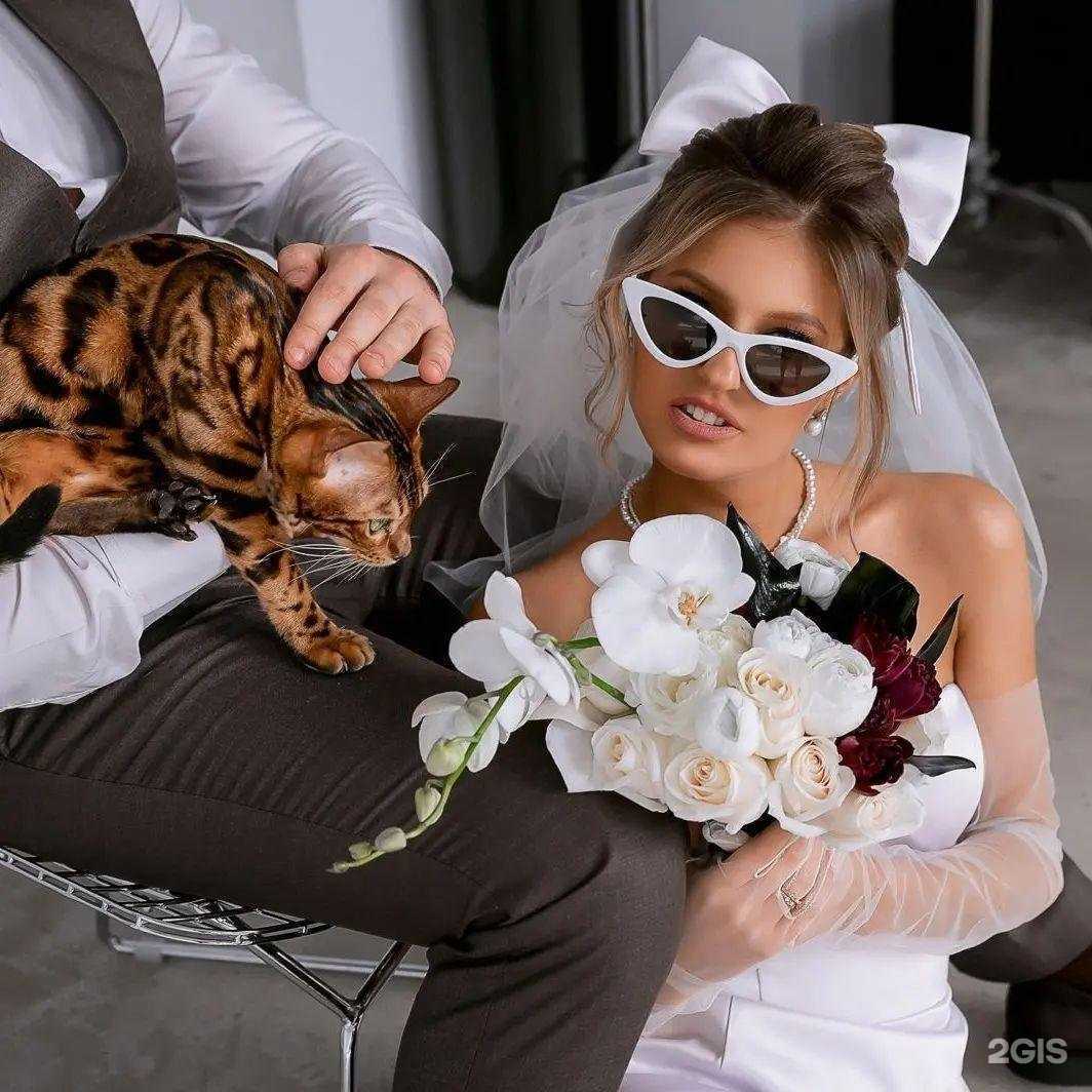 Отзывы на компанию Какао в г. Рязань c фото