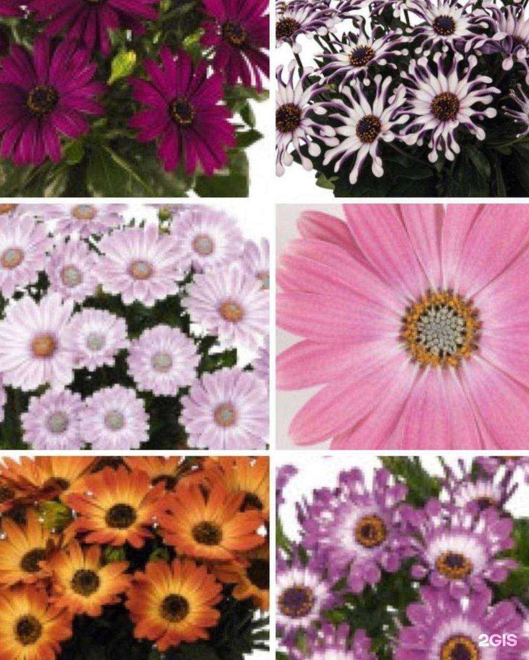 Отзывы на компанию Садовник в Зеленодольске c фото