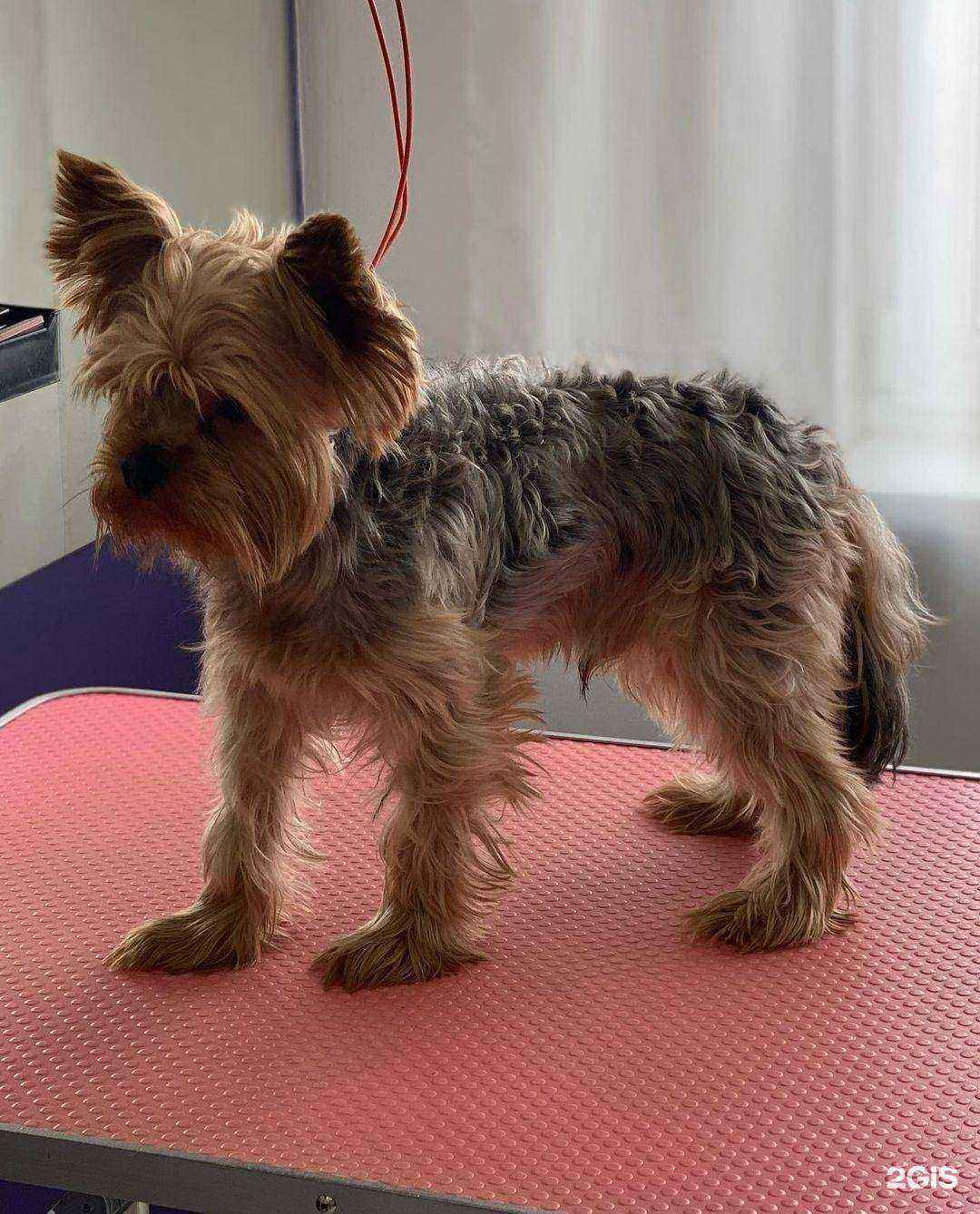 Отзывы на компанию Mary в Ижевске c фото