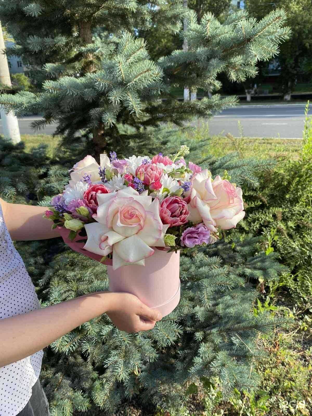 Отзывы на компанию Тюльпан в г. Новокуйбышевск c фото